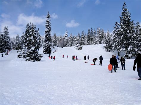 Winter activities abound at North Tahoe Regional Park - Tahoe Guide