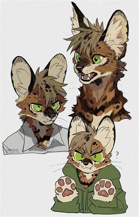 Ficha Wiki Furry Yaoi Gay Rpg Amino
