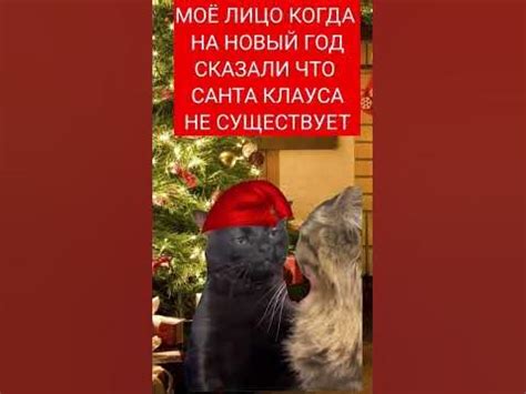 ЧЕРНЫЙ КОТ СМОТРИТ МЕМ НОВЫЙ ГОД САНТА КЛАУС - YouTube