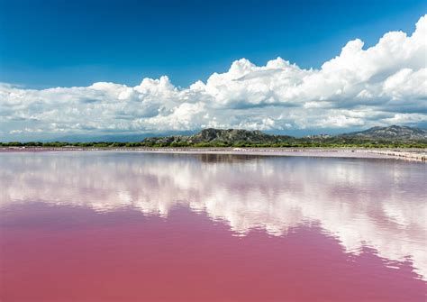 The Best Lake Retba (Lac Rose) Tours & Tickets 2019 - Senegal | Viator