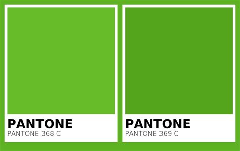Color Pantone 368 C Vs Pantone 369 C Side By Side