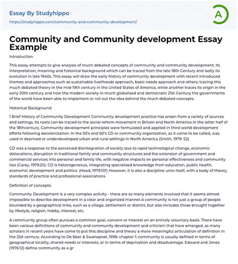 Community And Community Development Essay Example