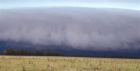 Lo Que Dej El Temporal En El Sur Bonaerense Vuelco Y Desgrane En