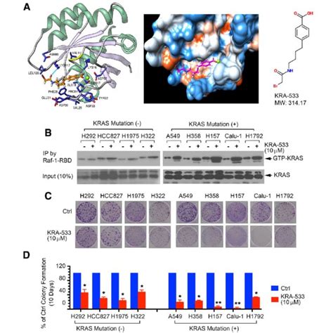 Kra 533 Inhibits Mutant Kras G12d Driven Lung Cancer Growth In