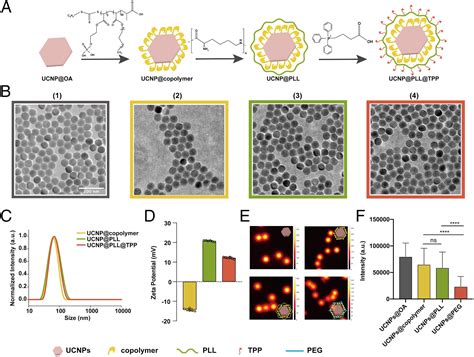 Spatiotemporally Mapping Temperature Dynamics Of Lysosomes And