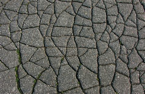 A network of black cracks on the asphalt surface. Road texture with ...