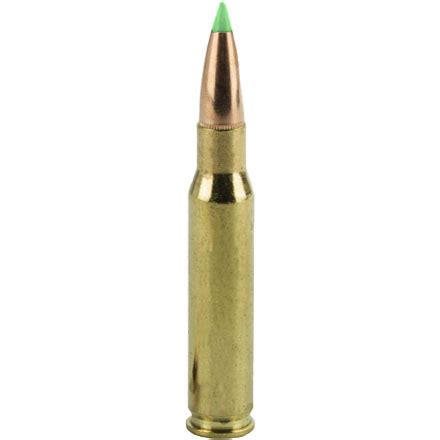 Nosler Ballistic Tip 30 06 Springfield 165 Grain 20 Rounds By Nosler