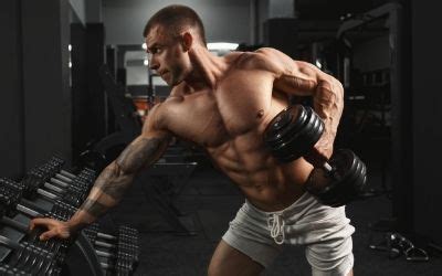 Best Bulking Workout Routine On Steroids Eoua Blog