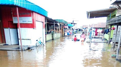 Infopublik Rumah Warga Di Pahandut Seberang Terendam Banjir