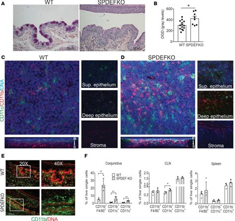 Goblet Cell Loss Abrogates Ocular Surface Immune Tolerance Abstract Europe Pmc