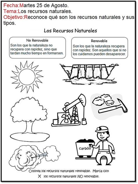 Los Recursos Naturales Tipos De Recursos Naturales Renovables Y No