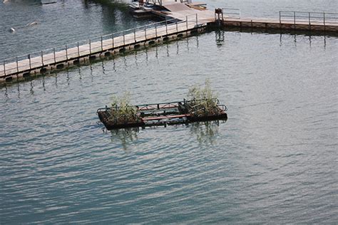 Floating Islands West Floating Islands West Photo Gallery