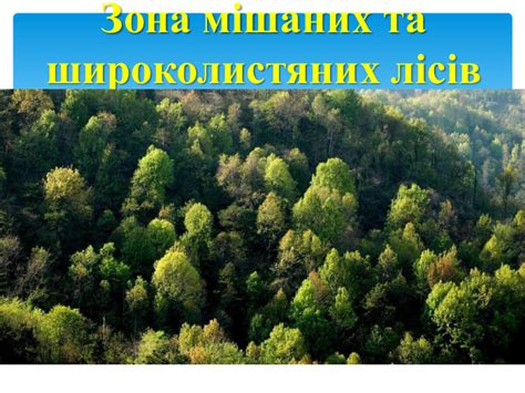 Природні зони Землі, їх особливості.