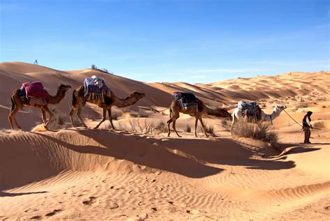 Quand Partir En Tunisie Climat Affluence Touristique Et Activit S