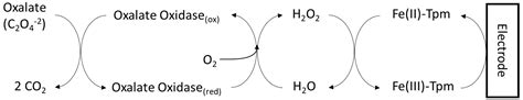 Molecules | Free Full-Text | Analytical Methods for Oxalate ...