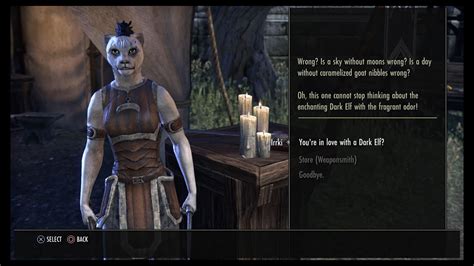 Lesbian Npc Lovers In The Elder Scrolls Online Ps4 1080p 60f Youtube