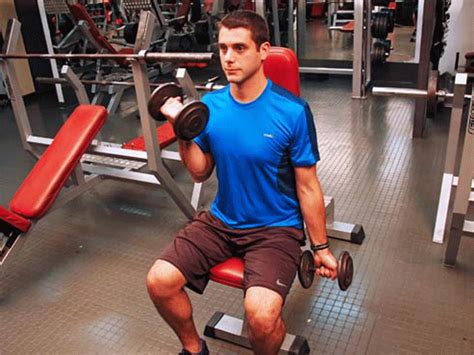 Curl de bíceps sentado con mancuernas Seated dumbbell bicep curl