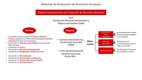 213 Sistemas De Protección De Ddhh Pdfpdf