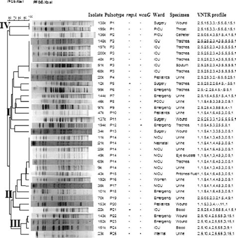 Dendrogram Showing A Cluster Analysis Of K Pneumoniae Isolates