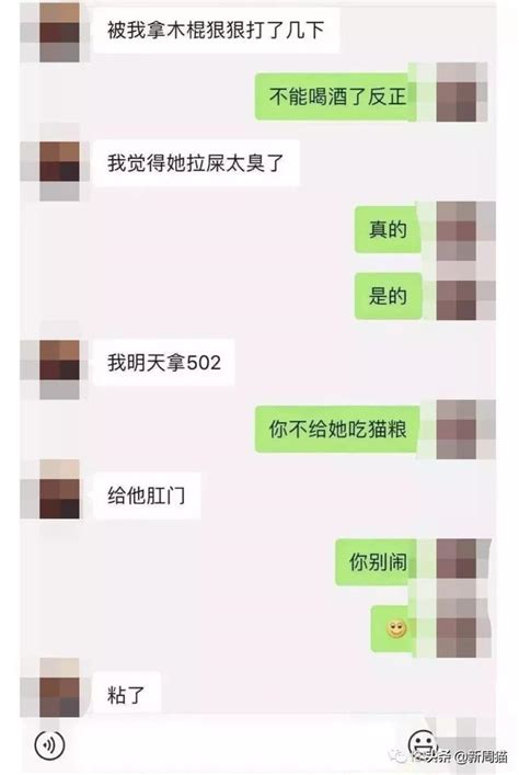 留學生虐貓事件：不是每個人類，都值得貓信任 每日頭條