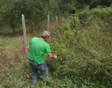 Почистиха част от Природен парк „Странджа"
