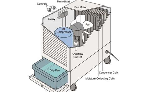 Por Qu No Funciona El Ventilador Del Deshumidificador Gu A De