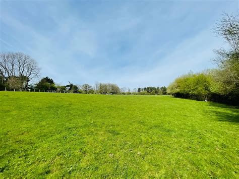 The Dog Walking Field Pembury Dog Walking Fields Uk