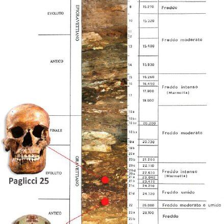 Grotta Paglicci Schema Stratigrafico Della Serie Interna Con