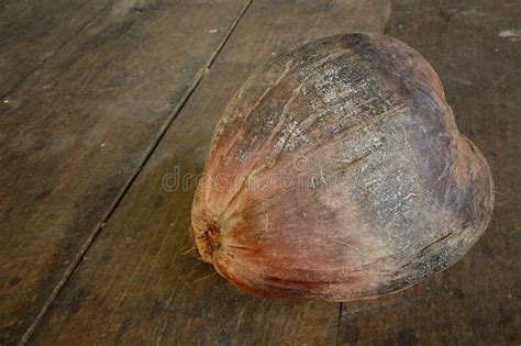 Dry Coconut On Wood Floor Stock Image Image Of Coconut 35690313