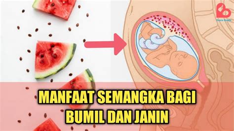 Manfaat Buah Semangka Yang Baik Untuk Ibu Hamil Dan Janin Youtube