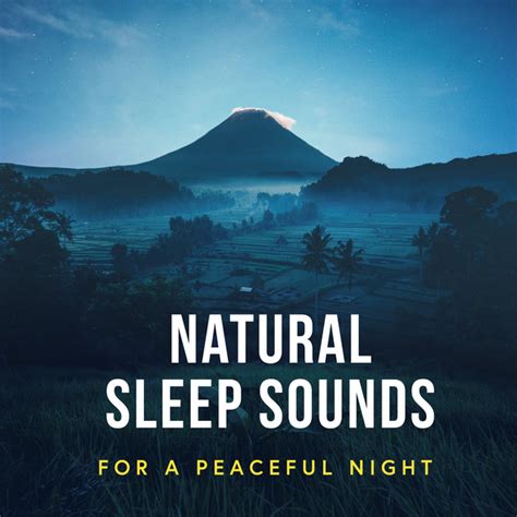 Natural Sleep Sounds For A Peaceful Night Album By Soothing Music For