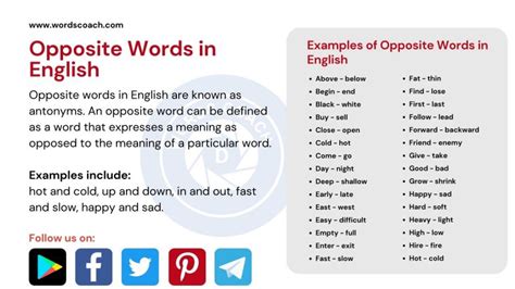 words  english  examples   words  english