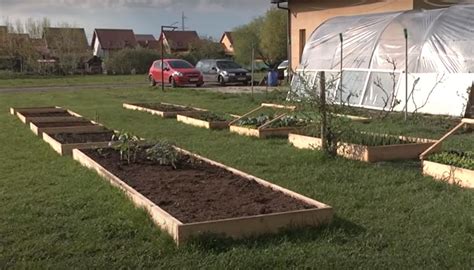 10 Sfaturi Pentru A Ti Face Gradina De Legume Mult Visata Cultiva