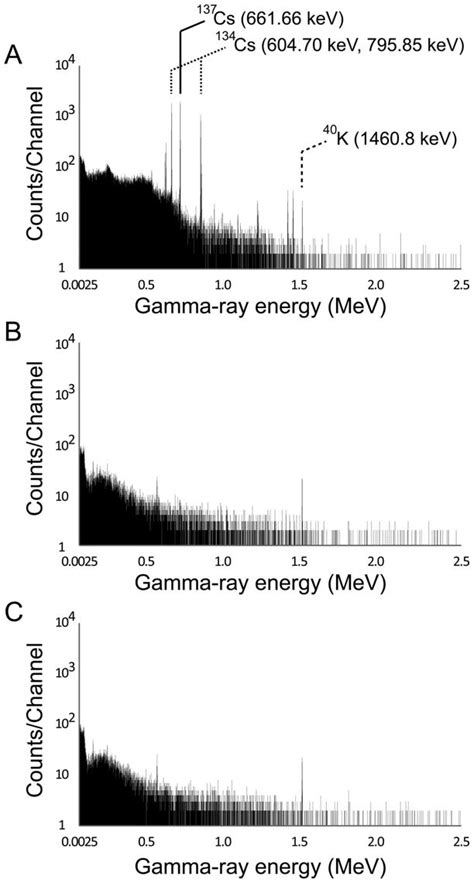 Typical Gamma Ray Spectra A B The Spectra For The Mature Bamboo