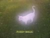 Unity Completed Magic Pussy Chapter Remastered Taboo Tales