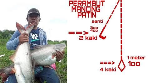 Perambut Benar Rangkaian Pancing Ikan Patin Youtube