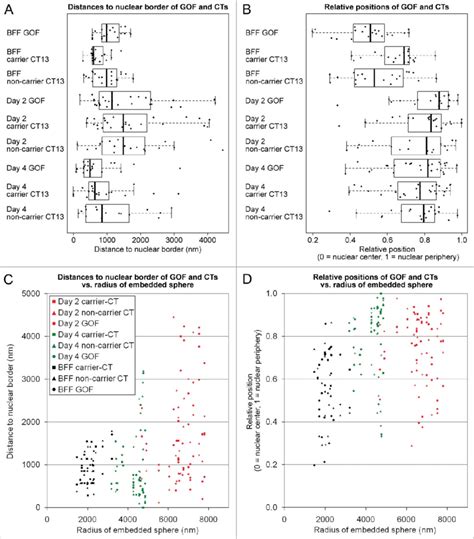 Quantitative Analysis Of Radial Nuclear Arrangements Of The