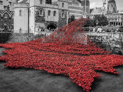 In photos: 2014's Tower of London poppies