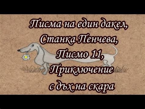 Писма на един дакел - Станка Пенчева, Писмо 11, Приключение с дъх на ...