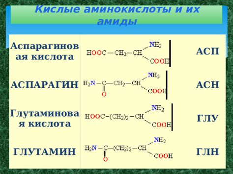 Презентация на тему " Белки"