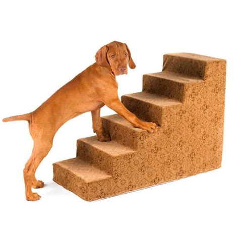 The Best Steps And Ramps For Small Dogs I Love My Chi