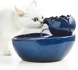 The Ultimate Buying Guide For Ceramic Cat Water Fountains Top Reviews