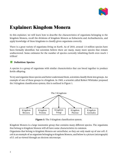 Kingdom Monera Examples