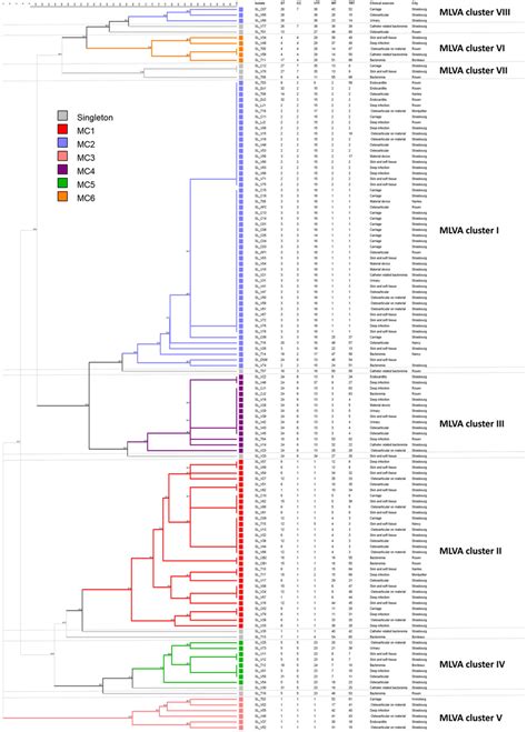 Multiple Locus Vntr Analysis Mlva Clustering Of The Isolates Of