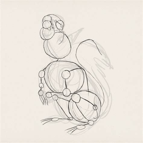 How To Draw Animals Small Rodents And Their Anatomy