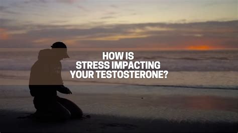 How Is Stress Impacting Your Testosterone Warnings And Help Great