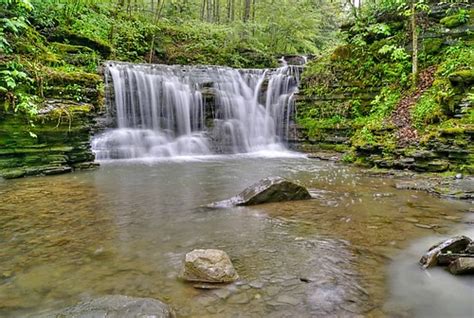 Twin Falls Sugar Hill State Forest Roots Photography
