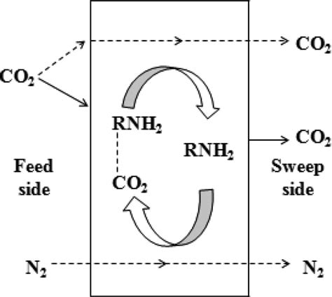 Schematic Of CO 2 And N 2 Transport Mechanisms In The Facilitated