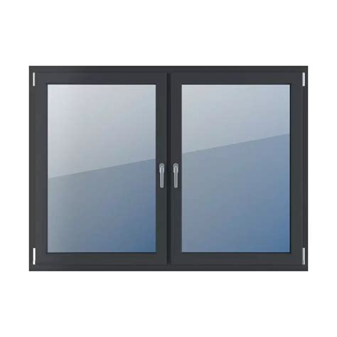 Double Leaf Types Of Windows Windows Feneste