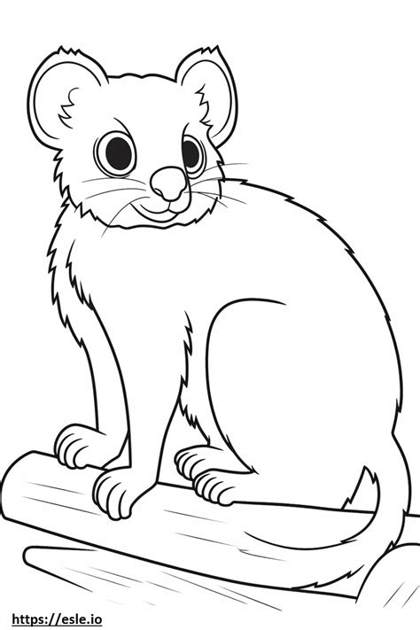Bush Baby Baby Coloring Page
